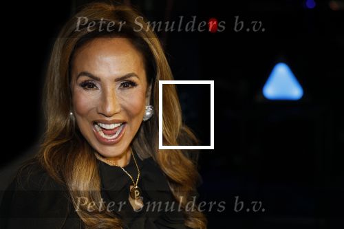 Amsterdam 28 november 2025
Presentatie videoland serie Vals Spel in Amsterdam. Patty Brard
