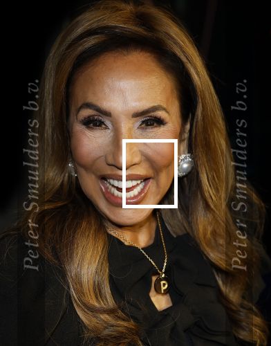 Amsterdam 28 november 2025
Presentatie videoland serie Vals Spel in Amsterdam. Patty Brard