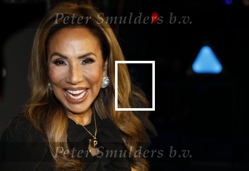 Amsterdam 28 november 2025
Presentatie videoland serie Vals Spel in Amsterdam. Patty Brard