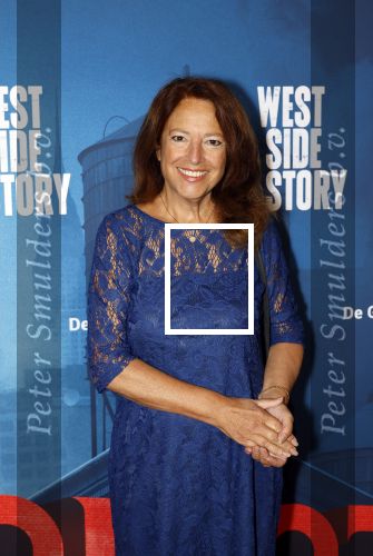 Rotterdam 23 november 2025
Premiere West side story in het nieuwe luxor. paula Patricio