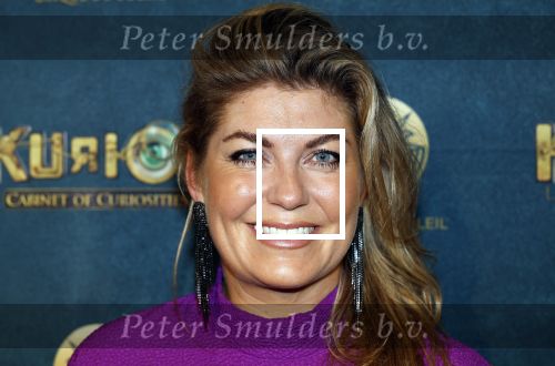 Den Haag 23 oktober 2025
Premiere Circque du Soleil op het malieveld in Den Haag. Pauline Wingelaar kwam met haar 2 zoons