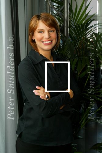 Amsterdam 22 juli 2003

Presentatie NET 5 SBS ^ en Veronica bij panama.
pernilla la lau zwanger

Peter Smulders bv