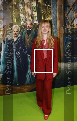 Amsterdam 18 november 2025
Premiere Wicked in het deLaMar theater . Pip Pellens