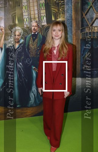 Amsterdam 18 november 2025
Premiere Wicked in het deLaMar theater . Pip Pellens