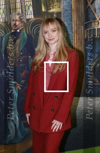 Amsterdam 18 november 2025
Premiere Wicked in het deLaMar theater . Pip Pellens