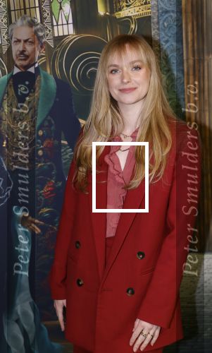 Amsterdam 18 november 2025
Premiere Wicked in het deLaMar theater . Pip Pellens
