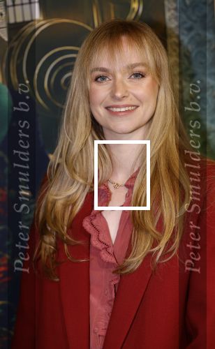 Amsterdam 18 november 2025
Premiere Wicked in het deLaMar theater . Pip Pellens