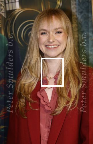 Amsterdam 18 november 2025
Premiere Wicked in het deLaMar theater . Pip Pellens