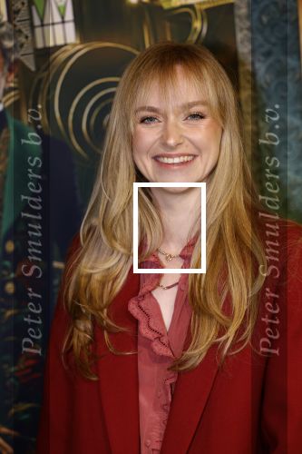 Amsterdam 18 november 2025
Premiere Wicked in het deLaMar theater . Pip Pellens