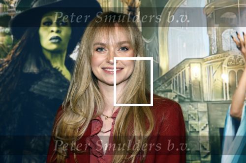 Amsterdam 18 november 2025
Premiere Wicked in het deLaMar theater . Pip Pellens
