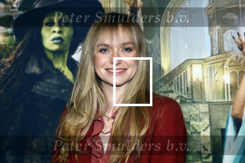 Amsterdam 18 november 2025
Premiere Wicked in het deLaMar theater . Pip Pellens