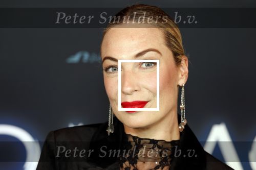 Amsterdam 11 november 2025
Premiere Now you see me 3 bij The Harbour Club .