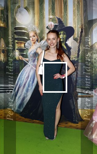 Amsterdam 18 november 2025
Premiere Wicked in het deLaMar theater .