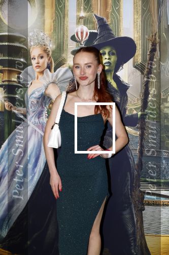 Amsterdam 18 november 2025
Premiere Wicked in het deLaMar theater .