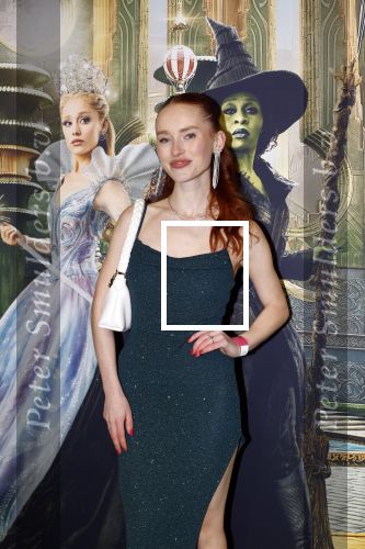 Amsterdam 18 november 2025
Premiere Wicked in het deLaMar theater .
