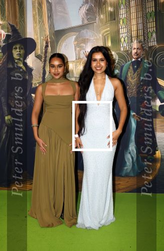 Amsterdam 18 november 2025
Premiere Wicked in het deLaMar theater .