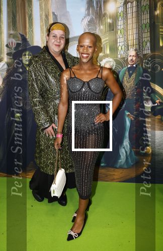 Amsterdam 18 november 2025
Premiere Wicked in het deLaMar theater .
