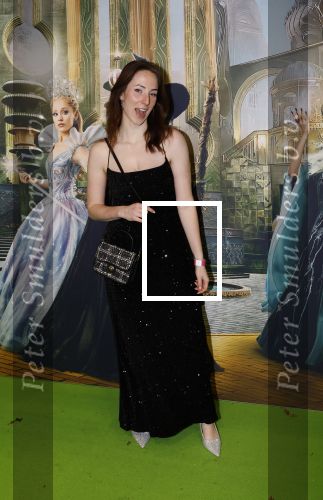 Amsterdam 18 november 2025
Premiere Wicked in het deLaMar theater .
