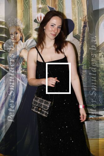 Amsterdam 18 november 2025
Premiere Wicked in het deLaMar theater .