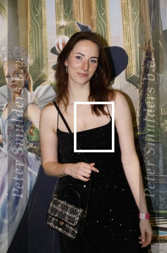 Amsterdam 18 november 2025
Premiere Wicked in het deLaMar theater .