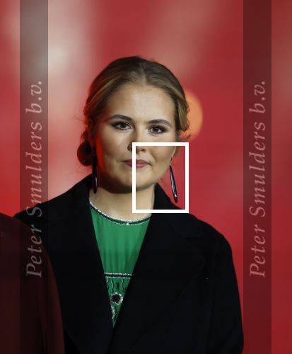 Amsterdam 27 oktober 2025
750 jaar Amsterdam bij het v Gogh museum . Aanwezig Koning Willem Alexander Koningin Maxima Prinses Amalia en Burgemeester Femke Halsema.