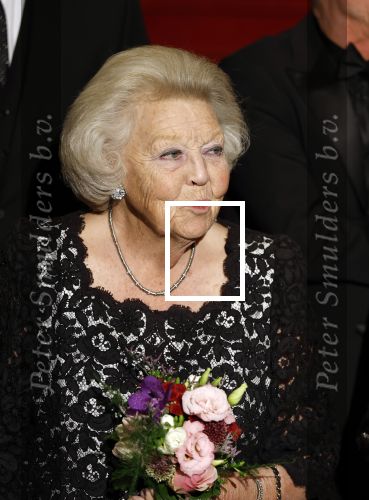 Amsterdam 24 november 2025
Prinses Beatrix en Prinses Margriet aanwezig bij het Nederlands Balletgala in het DeLaMar in Amsterdam . Ook aanwezig oa Alexandra Radius & Han Ebbelaar