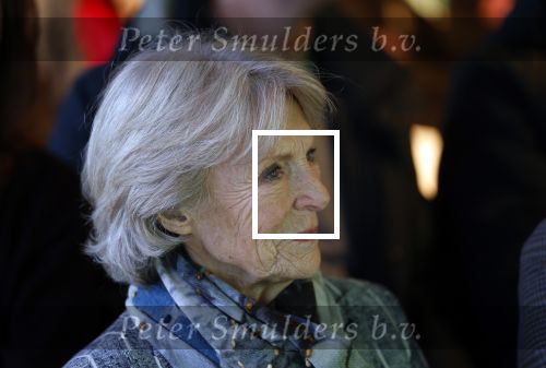 Laren (Gelderland) 19 november 2025
Bijeenkomst van nationale boomplantdag waar prinses Irene uit handen van Albert Verlinde een prijs krijgt omdat zij zich altijd ingezet heeft voor behoud en onderhoud bomen .