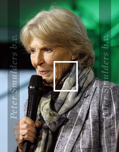 Laren (Gelderland) 19 november 2025
Bijeenkomst van nationale boomplantdag waar prinses Irene uit handen van Albert Verlinde een prijs krijgt omdat zij zich altijd ingezet heeft voor behoud en onderhoud bomen .