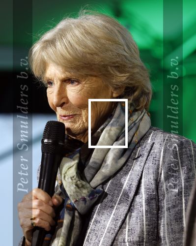 Laren (Gelderland) 19 november 2025
Bijeenkomst van nationale boomplantdag waar prinses Irene uit handen van Albert Verlinde een prijs krijgt omdat zij zich altijd ingezet heeft voor behoud en onderhoud bomen .