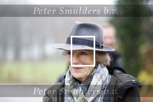 Laren (Gelderland) 19 november 2025
Bijeenkomst van nationale boomplantdag waar prinses Irene uit handen van Albert Verlinde een prijs krijgt omdat zij zich altijd ingezet heeft voor behoud en onderhoud bomen .