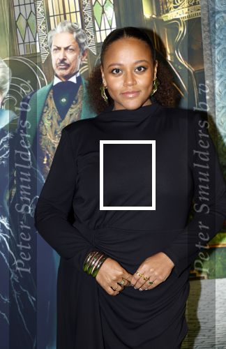 Amsterdam 18 november 2025
Premiere Wicked in het deLaMar theater . Quinty Misiedjan