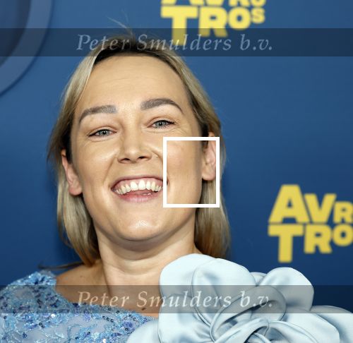 Amsterdam 16 oktober 2025
Uitreiking televizierring 2025 in Carre 
Renske uit BenB Vol Liefd