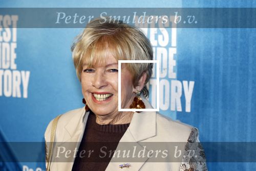 Rotterdam 23 november 2025
Premiere West side story in het nieuwe luxor. Ria Valk met partner