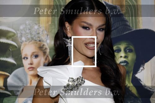 Amsterdam 18 november 2025
Premiere Wicked in het deLaMar theater . Rikkie Valerie Kolle met partner