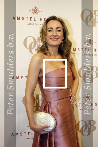 Amsterdam 26 november 2025
Olcay Gulsen geeft een groot feest ( Gemaskerd bal) in het Amstel Hotel. Sarah Meuleman