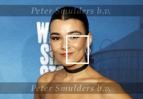 Rotterdam 23 november 2025
Premiere West side story in het nieuwe luxor. Shanna Slaap