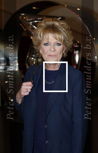 Amsterdam 26 oktober 2025
Boekpresentatie boek over 80 jaar het DeLaMar theater . Simone Kleinsma kreg uit handen van Janine v d Ende en Joop v d Ende het eerste exemplaar.
