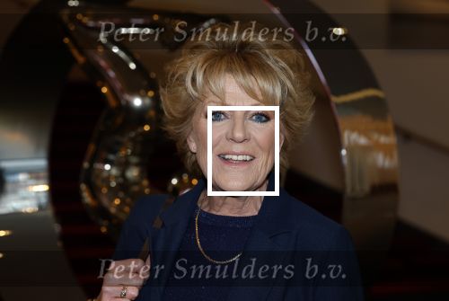 Amsterdam 26 oktober 2025
Boekpresentatie boek over 80 jaar het DeLaMar theater . Simone Kleinsma kreg uit handen van Janine v d Ende en Joop v d Ende het eerste exemplaar.