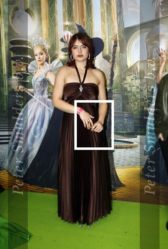 Amsterdam 18 november 2025
Premiere Wicked in het deLaMar theater . Sophie Bouquet