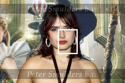 Amsterdam 18 november 2025
Premiere Wicked in het deLaMar theater . Sophie Bouquet