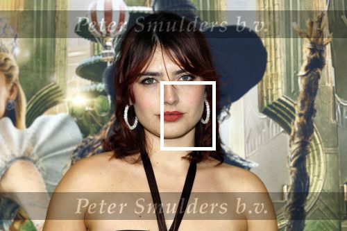 Amsterdam 18 november 2025
Premiere Wicked in het deLaMar theater . Sophie Bouquet
