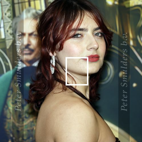 Amsterdam 18 november 2025
Premiere Wicked in het deLaMar theater . Sophie Bouquet