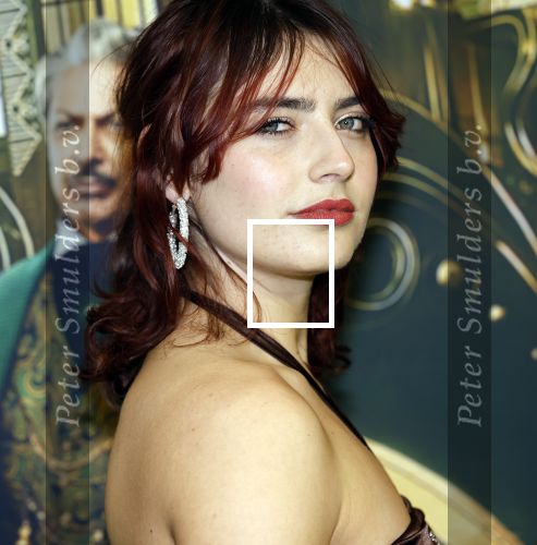 Amsterdam 18 november 2025
Premiere Wicked in het deLaMar theater . Sophie Bouquet