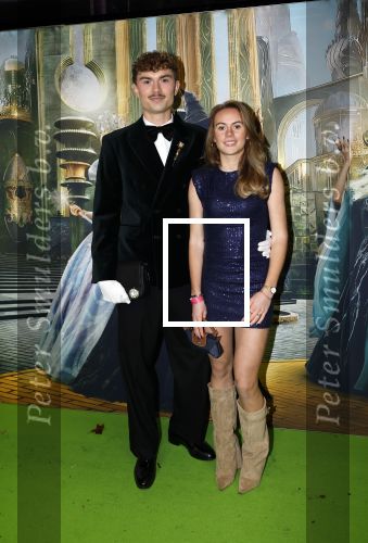 Amsterdam 18 november 2025
Premiere Wicked in het deLaMar theater . Sten Stienstra