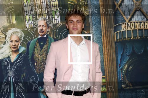 Amsterdam 18 november 2025
Premiere Wicked in het deLaMar theater . Sten Stienstra