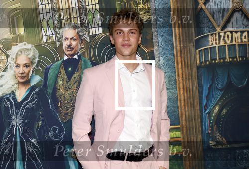 Amsterdam 18 november 2025
Premiere Wicked in het deLaMar theater . Sten Stienstra