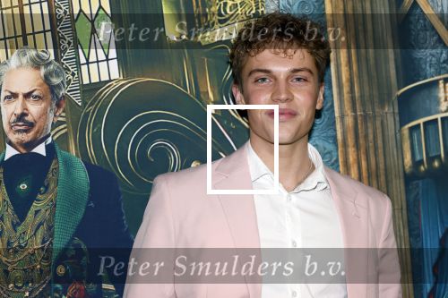 Amsterdam 18 november 2025
Premiere Wicked in het deLaMar theater . Sten Stienstra