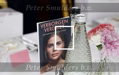 Amsterdam 18 november 2025
Boekpresentatie Stephanie Tency op een mooie salonboot.