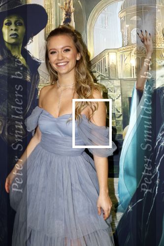 Amsterdam 18 november 2025
Premiere Wicked in het deLaMar theater . Sterre Koning