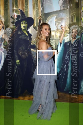 Amsterdam 18 november 2025
Premiere Wicked in het deLaMar theater . Sterre Koning